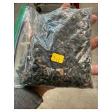 Large Lot of Sharks Teeth