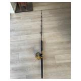 Penn 50 International Reel with Rod