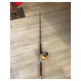 Penn 20 International Reel and Rod