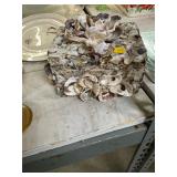 Handmade Shell Box with Lid