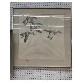 H Robertson Canvasback Duck Pencil Wall Art