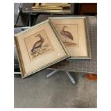 1740s Geo Edwards Hand Colored Engravings