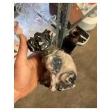 Vintage Chalkware Dog