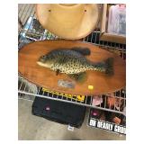 Black Crappie Fish Wall Hanging