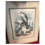 Vintage Bird Engraving Plate Art in Frame
