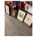 New York Botanical Garden Photos Lot