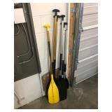 Lot of Paddles Oars
