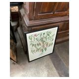 Framed Print of "Piper Indicum Medium"