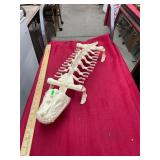 Vintage He Man MOTU Battle Bones