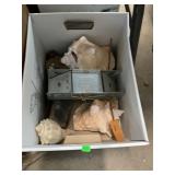 Seashells and Small Animal Trap Box Lot