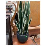 Faux Snake Plant
