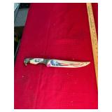 American Bald Eagle Knife in Sheath