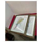 Tropical Parrots Prints Signed