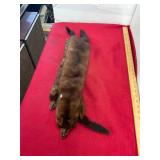 Mink Fur Shoal