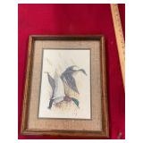 Charles Murphy Duck Print