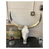Cattle Horns