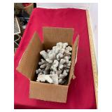 Coral Lot