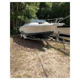 Wellcraft 210DC Honda 150 4 StrokeTitan Trailer