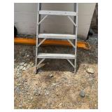 Werner 8ft Ladder