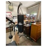 Everlast 4813 Stand and Bag