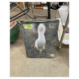 Large Birds of the World Book