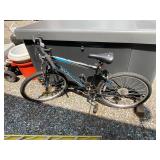 Roadmaster Bike