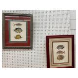 2 Piece Fish Wall Art