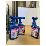 Rose and Flower Spray