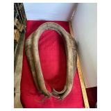 Antique Horse Collar