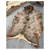 Elk Pelt