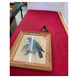 Indian Broad-Billed Roller Print and Bird Ornament