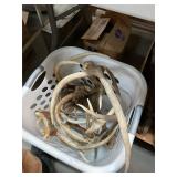 Box of Antlers