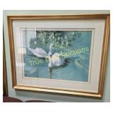 Framed Elegant Swans in Lake Print