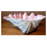 Decorative Shell Bowl