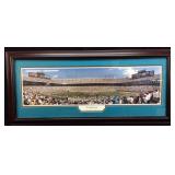 CAROLINA PANTHERS 47;YARD LINE FRAMED PRINT
