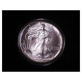 Silver Eagle Dollar 1995