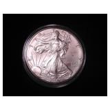 Silver Eagle Dollar 1996