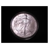 Silver Eagle Dollar 2002