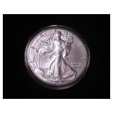 Silver Eagle Dollar 2021 - W