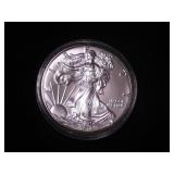 Silver Eagle Dollar 2016