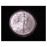 Silver Eagle Dollar 2013