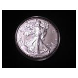 Silver Eagle Dollar 2021 - W