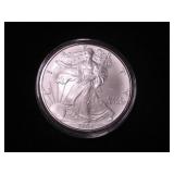 Silver Eagle Dollar 2004