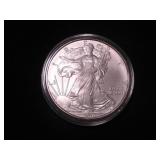 Silver Eagle Dollar 2010