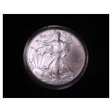 Silver Eagle Dollar 1999