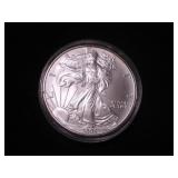 Silver Eagle Dollar 2005