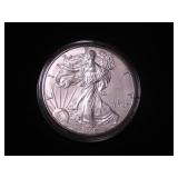 Silver Eagle Dollar 1996