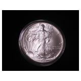 Silver Eagle Dollar 1993
