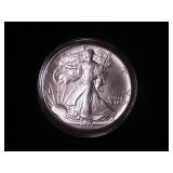 Silver Eagle Dollar 1991