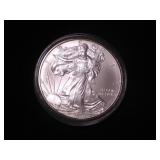 Silver Eagle Dollar 2009